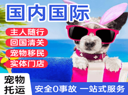 厦门高崎机场邮寄国际宠物托运 【国